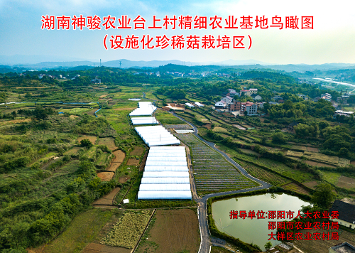 湖南神骏农业科技发展有限公司(图2)