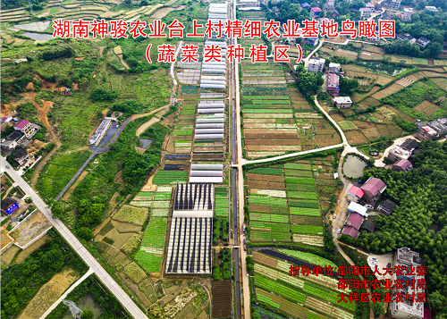 湖南神骏农业科技发展有限公司(图3)